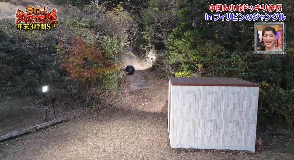 瞬间飘逸！日本综艺节目《整人大赏》2022冬季下载爆笑推荐