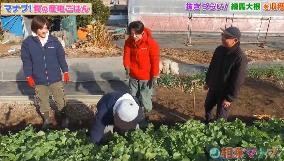 冷知识大揭秘，《相叶学》唤醒我们对奇特常识的好奇心，大野智默默的支持相叶雅纪肝下去